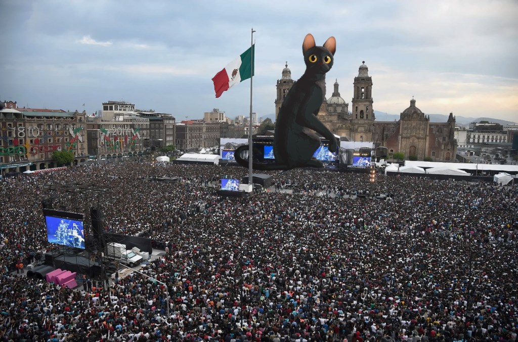 ¡Prepárate para el ‘Flow-Fest’! CDMX proyectará la película&nbsp;Flow